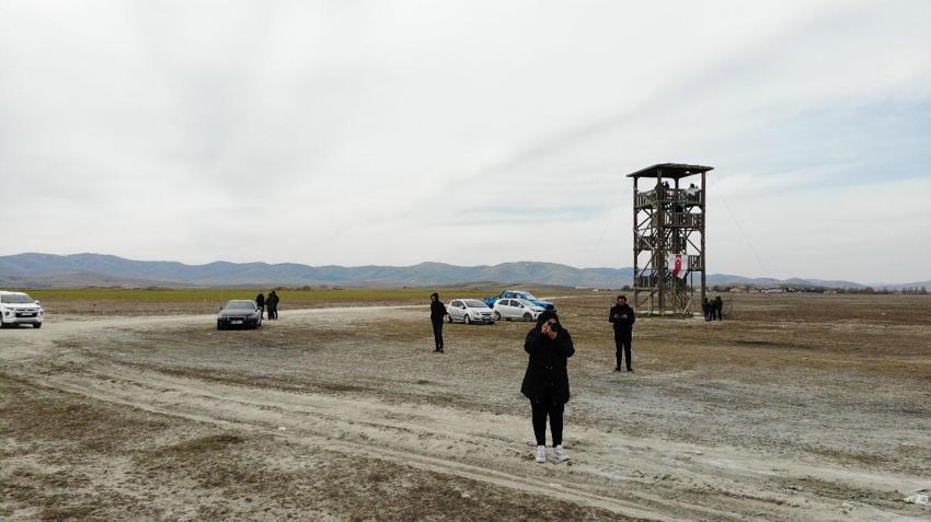 Kırşehir'de flamingolar fotoğraf tutkunlarına heyecan dolu anlar yaşattı