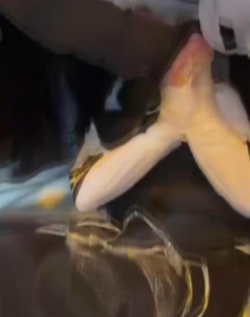 Fatih'te kan donduran akran zorbalığı! Ellerini ayaklarını bağlayıp vurdular: O anlar kamerada