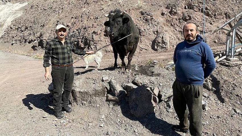 Artvin'in bu boğaları çok özel! Menülerinde fındık ve pekmez eksik olmaz