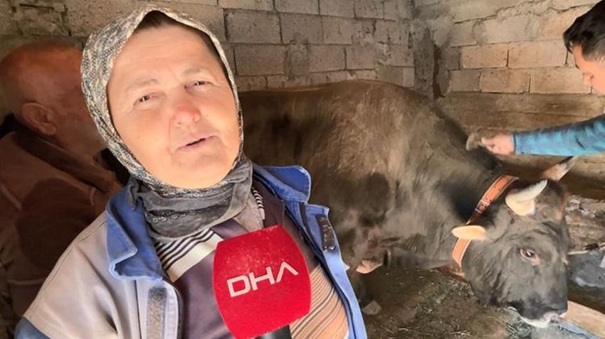 Artvin'in bu boğaları çok özel! Menülerinde fındık ve pekmez eksik olmaz