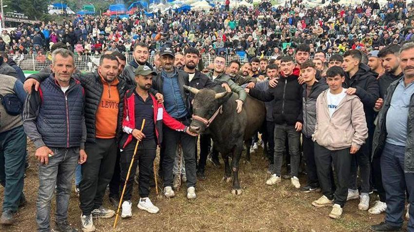 Artvin'in bu boğaları çok özel! Menülerinde fındık ve pekmez eksik olmaz