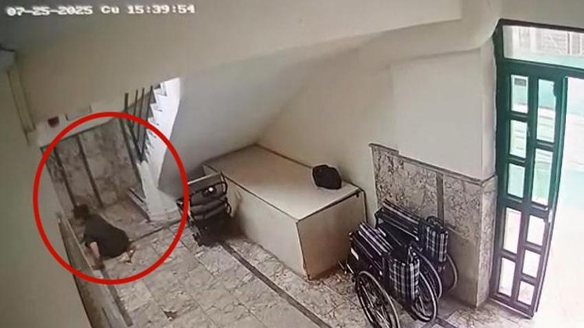 Antalya'da otizmli Mehmet'in hayatını karartan ihmal! 'Düşmedi' denildi: Gerçek 7 ay sonra bu video ile ortaya çıktı