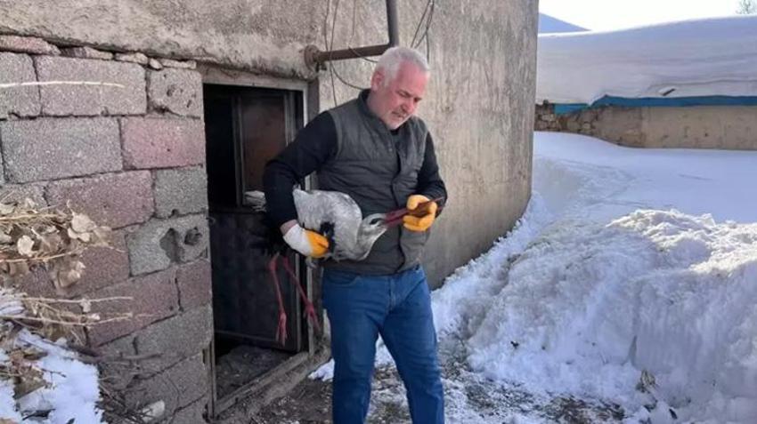 Karlar içinde donmak üzereyken buldu, 2,5 ay evinde baktı! Her gün taze balıkla besledi!