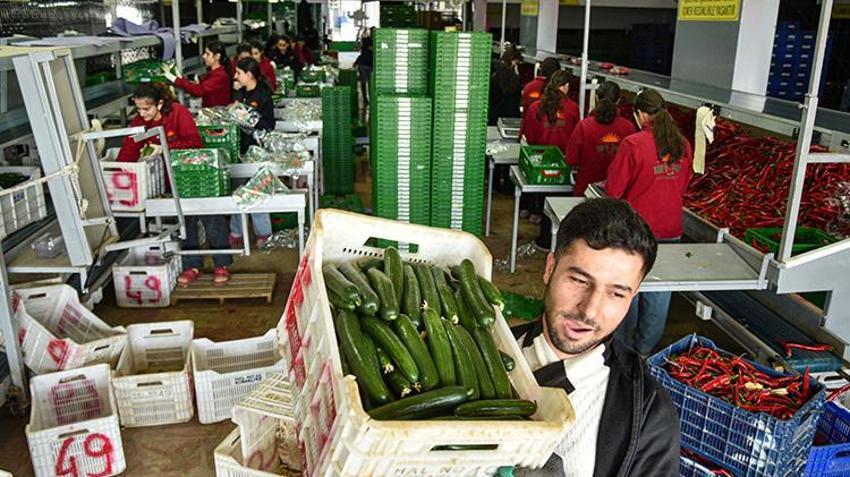 İran'daki savaş Antalya'daki ihracatı artırdı! Rusya'nın yönü değişti