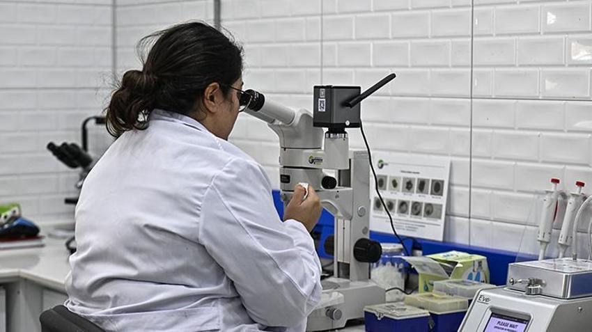 Kırklareli'de kurulan teknolojik tesis verimi yüzde yüz artırıyor! Hayvanlarda tüp bebek modelini hayata geçirdiler