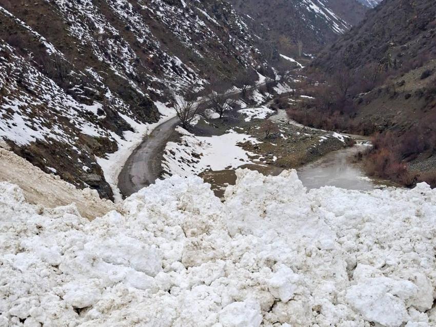 Van'da çığ düştü: Çatak'ta 1 mahalle ve 8 mezraya ulaşımı sağlanamıyor