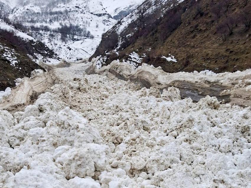 Van'da çığ düştü: Çatak'ta 1 mahalle ve 8 mezraya ulaşımı sağlanamıyor