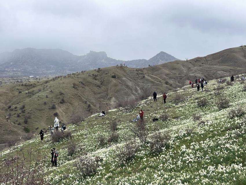 Şanlıurfa'da kilometrelerce yol aldılar! Her şey o çiçek için başladı