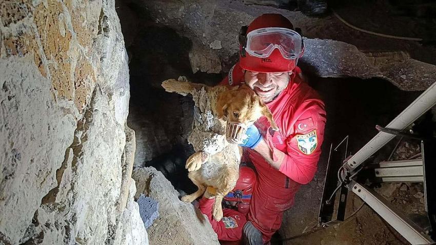 Kuşadası'nda kuruyan betonda mahsur kalan 'Paris', 7 saat sonra özgürlüğüne kavuştu