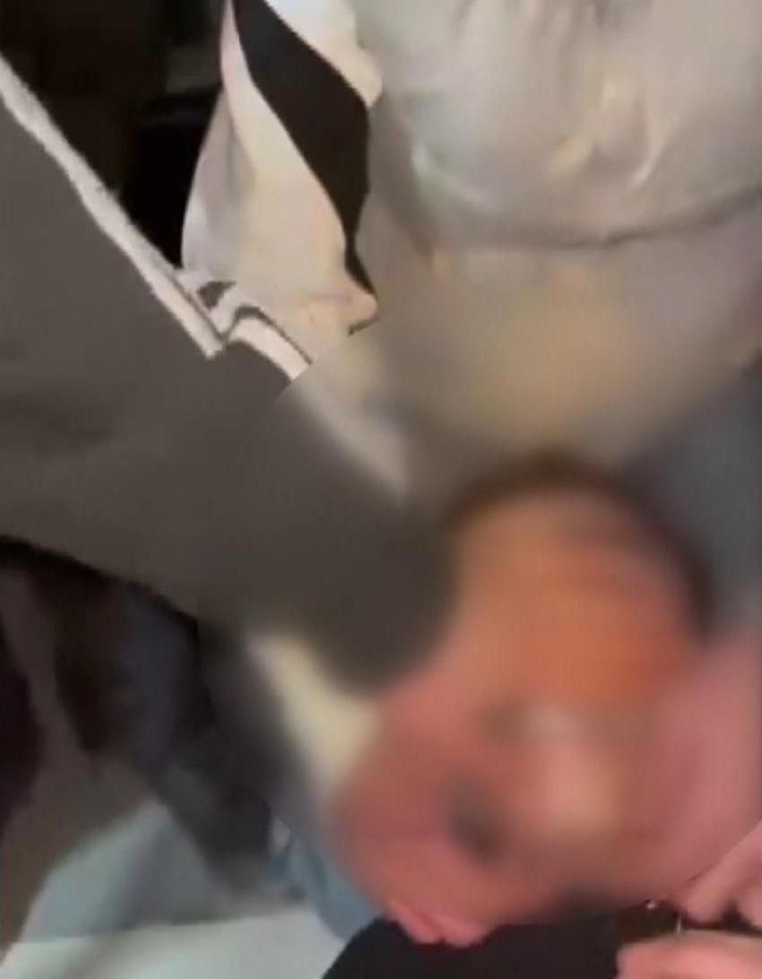 Fatih'te dehşet planlı çıktı! Zorbalar koli bandını 'doğum günü kutlayacağız' diyerek marketten almışlar