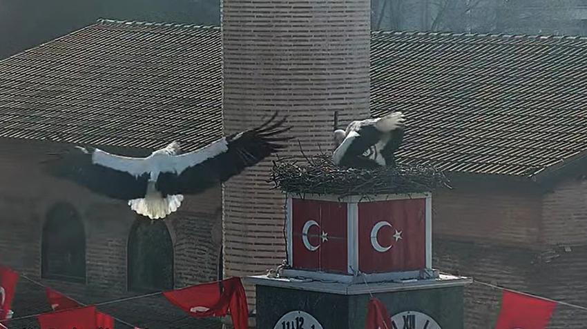 Avrupa'da Türkiye'yi Bursa'nın köyü temsil ediyor! 24 saat canlı yayınlanıyor: Keşke sevgilisini de görebilseydik