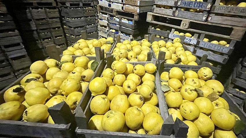 Kapış kapış satılıyordu, şimdi yok denecek kadar az! Zirai don vurunca fiyatı uçtu