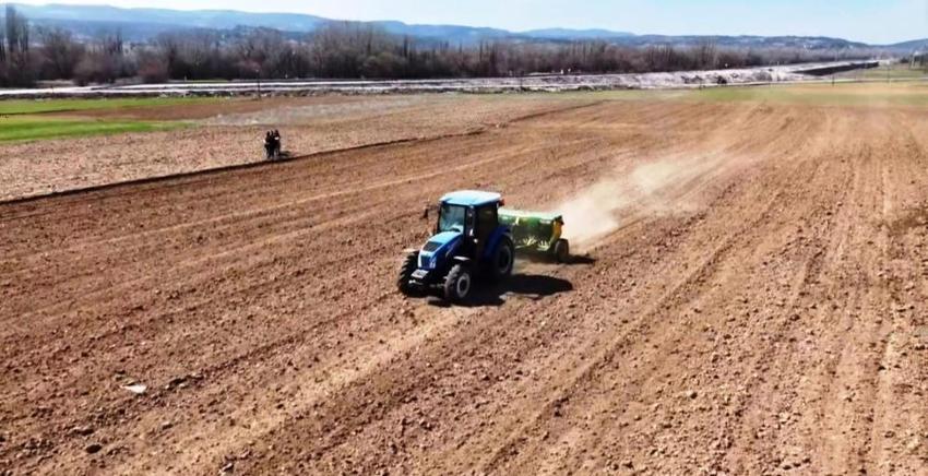 Kütahya'da alternatif ürünle çiftçinin geliri artacak! 2 bin 500 dekar alanda ekim başladı