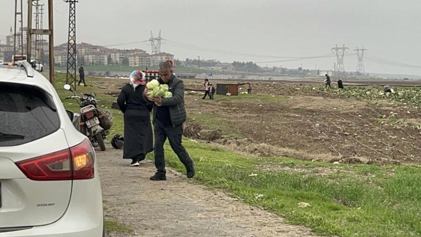 Duyan tarlaya akın etti! Batmanlı çiftçi çareyi bedava dağıtmakta buldu