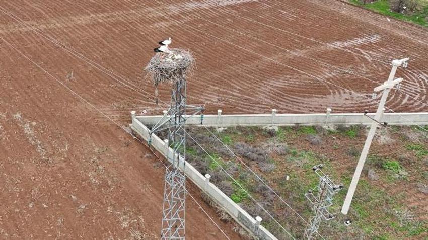 Görenler şaşırıyor! Tam 5 bin kilometre uzaktan geldiler: Bu yıl hiç gitmeyecekler