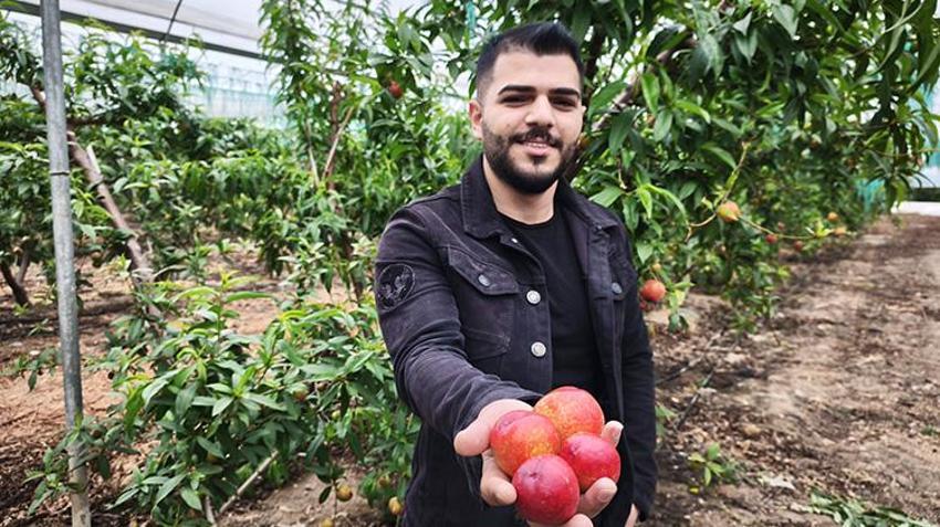 Mersin'de ikinci hasat bereketi! Alternatif ürün fiyatıyla üreticiye kazandırıyor