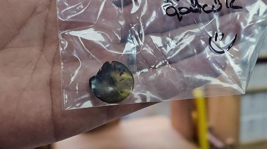 Kedinin 4 yıldır geçmeyen kusmasının sebebi tomografi ile ortaya çıktı!