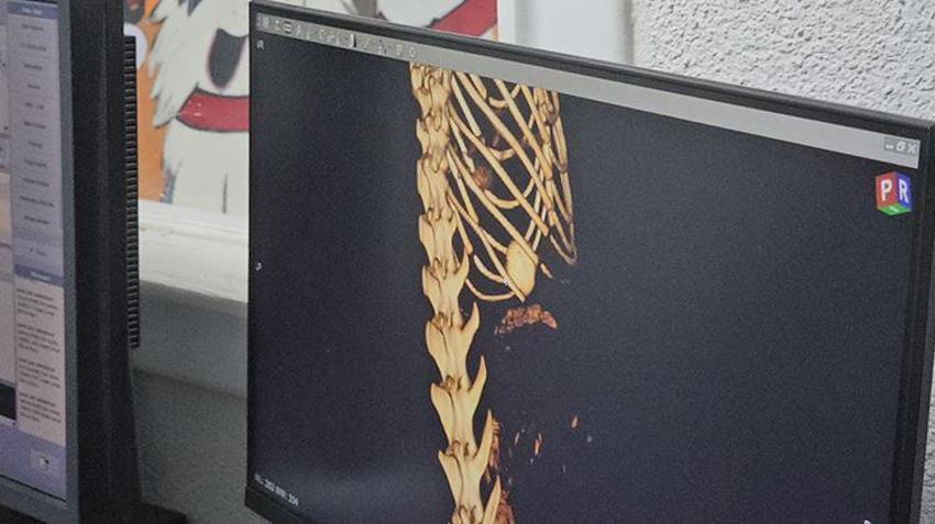 Kedinin 4 yıldır geçmeyen kusmasının sebebi tomografi ile ortaya çıktı!