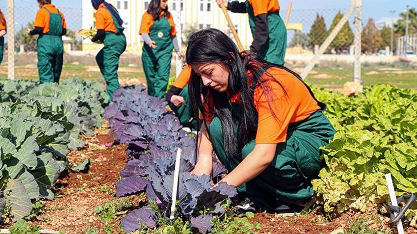 Bu okuldan mezun olan işsiz kalmıyor! %90 istihdam garantili geleceğin ziraatçileri yetişiyor