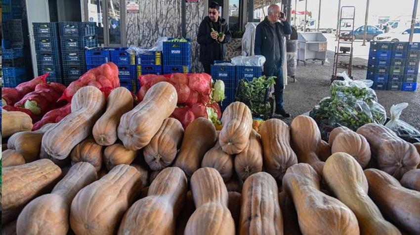 15 bin kişinin geçim kaynağı oldu! Antalya'da hasat edilip 64 ülkeye gönderiliyor