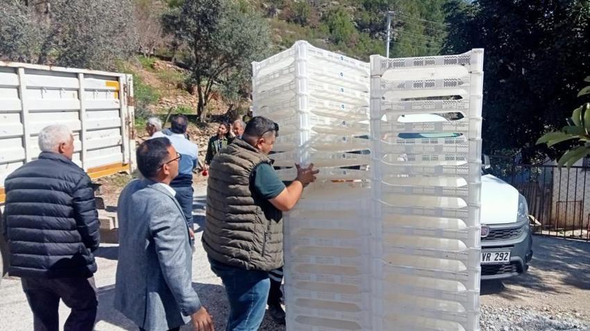 Antalya'da beyaz altın bereketi geri dönüyor! 35 üreticiye hibe edildi: Kırsalda yeni gelir kapısı olacak