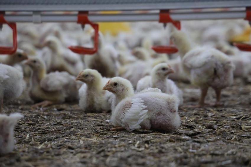 Devletten aldığı destekle 2 tesis kurdu! Elazığlı çiftçi şimdi tonlarca üretiyor: 'Hayal bile edemezdik'