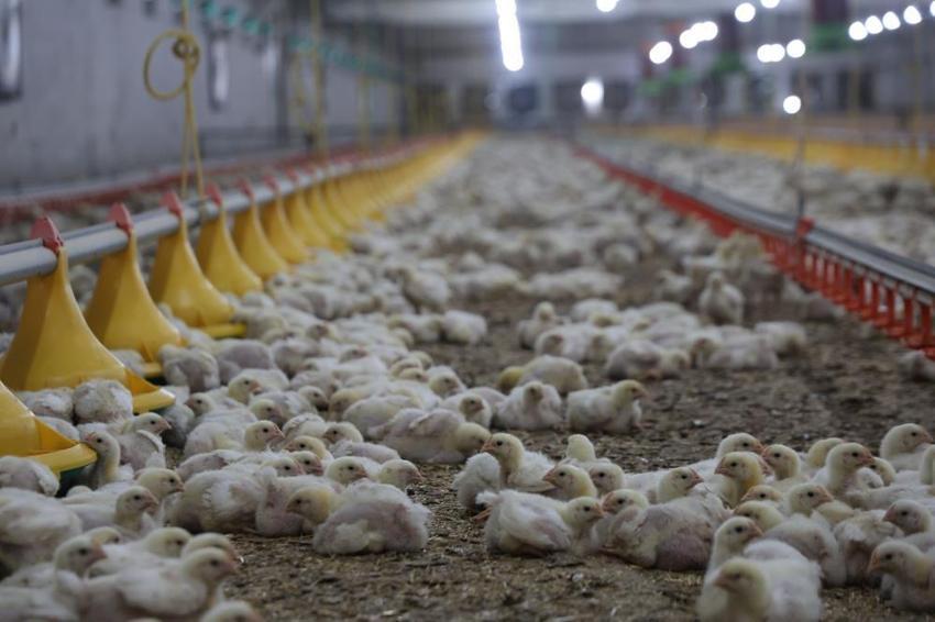 Devletten aldığı destekle 2 tesis kurdu! Elazığlı çiftçi şimdi tonlarca üretiyor: 'Hayal bile edemezdik'