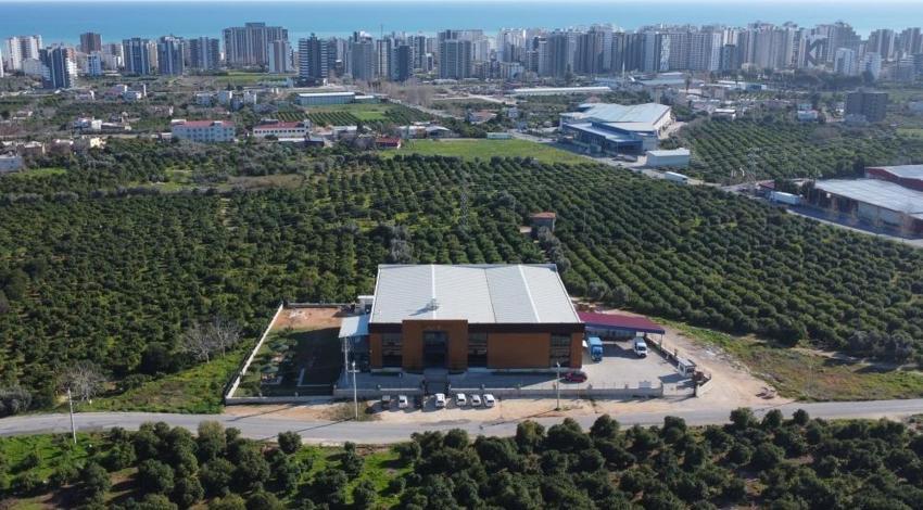 Mersin'de geleneksel arıcılıkta teknoloji devrimi yaptı! 15 kişiyle başladı, devlet desteğiyle 40 kişiye iş kapısı oldu!