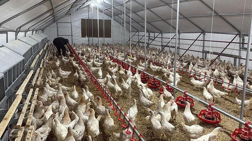 Muğlalı genç otomobilini satıp girişimci oldu! '100 kişiden 95'i, 'Bu iş yapılmaz' dedi' ama o vazgeçmedi