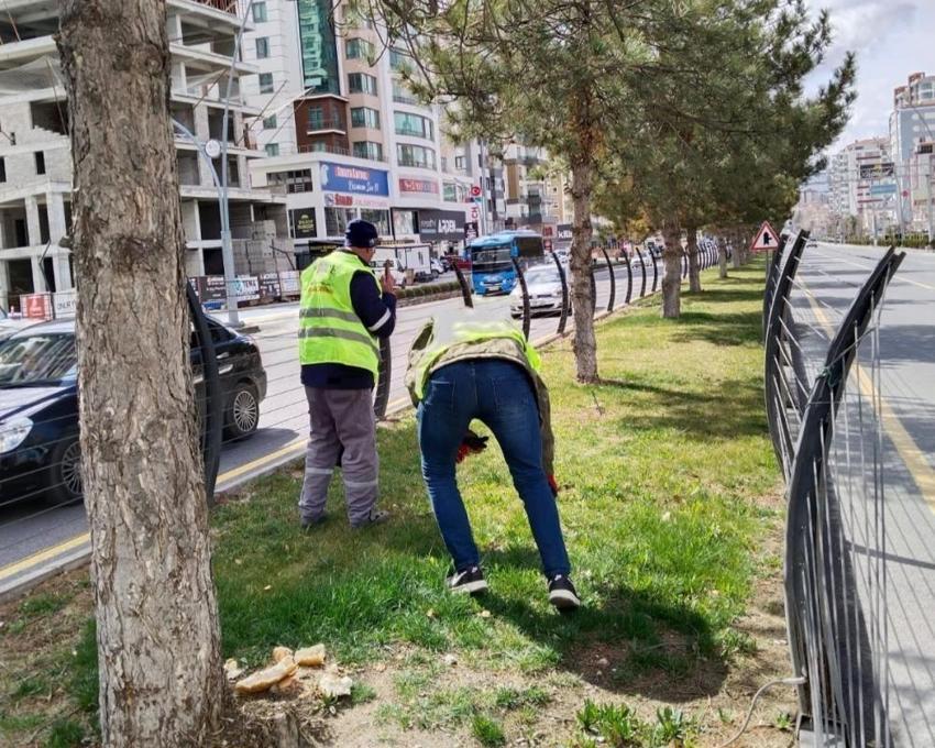 Niğde'ye bahar geldi: Belediye harekete geçti