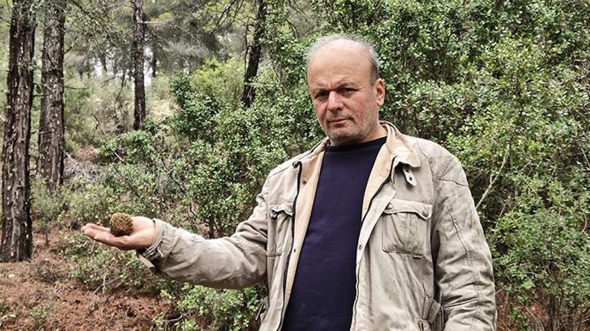 Burdur'da sezon açıldı, dağlarda hazine avı başladı: Kilosu el yakıyor, tadı hayran bırakıyor