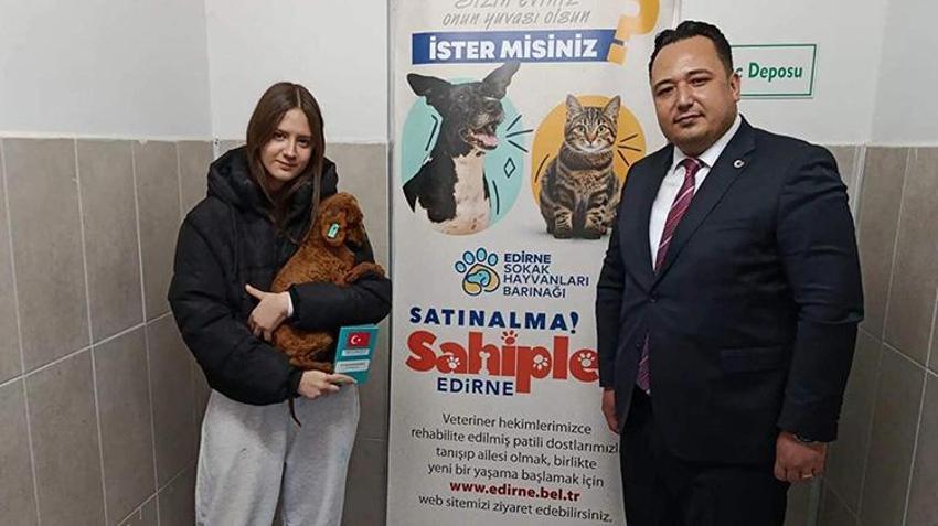 Edirne'de jandarma operasyonuyla onlarca köpek kurtarıldı! Özel cinsleri üretiyorlardı