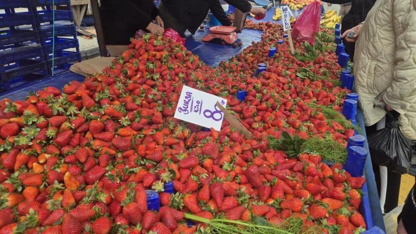 Kilosu 80 TL’yi gören tezgaha koştu! Bursa’dan gelen lezzet kapış kapış gitti