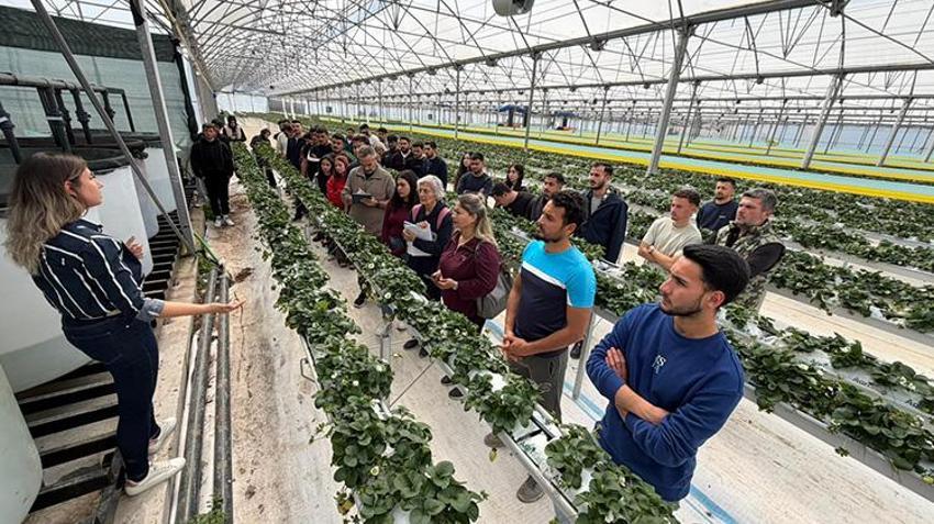 Antalya Kumluca'da 18 bin dekarlık dev tesiste geleceğin çiftçileri yetişiyor: Topraksız tarımla çilek üretiyorlar!