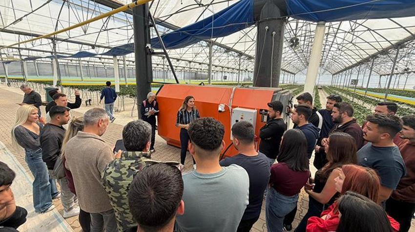 Antalya Kumluca'da 18 bin dekarlık dev tesiste geleceğin çiftçileri yetişiyor: Topraksız tarımla çilek üretiyorlar!