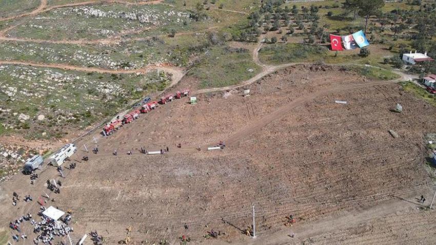 Muğla'da yanan sahil şeridinin yeniden yeşermesi için çalışmalar başladı! 28 bin fidan toprakla buluşacak