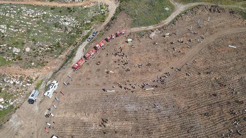 Muğla'da yanan sahil şeridinin yeniden yeşermesi için çalışmalar başladı! 28 bin fidan toprakla buluşacak