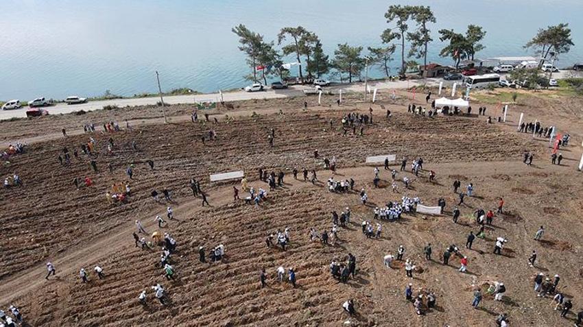 Muğla'da yanan sahil şeridinin yeniden yeşermesi için çalışmalar başladı! 28 bin fidan toprakla buluşacak