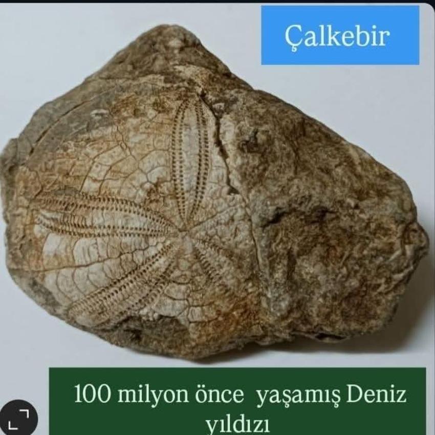 Doğada yürürken toprak altında fark etti! Denizli'de milyonluk yıldız figürü bulundu