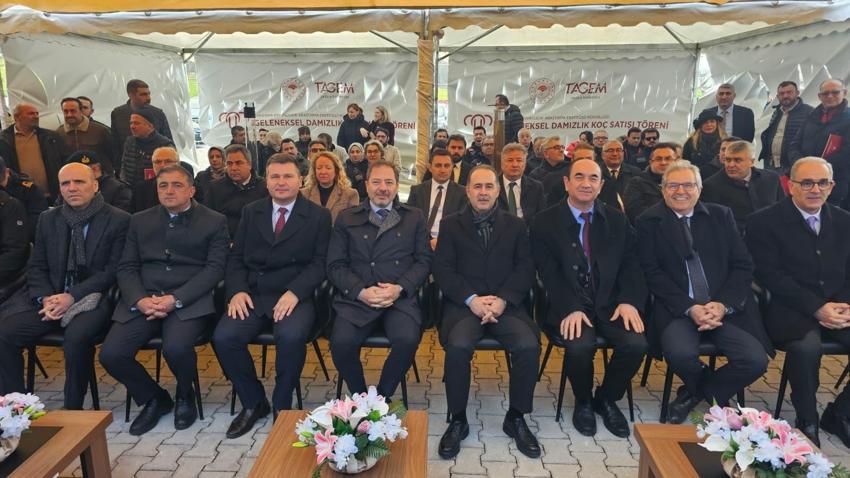 Geleneksel Damızlık Koç Satışı Töreni'nde rekor satış gerçekleşti