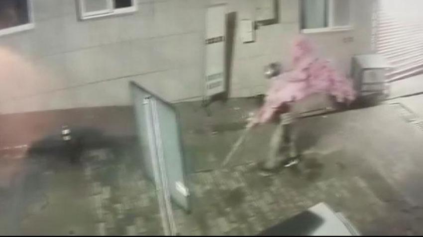 Bursa’da iş yerinin camını açamayan hırsız, kapıdaki değerli süs ağacını söktü; o anlar kamerada