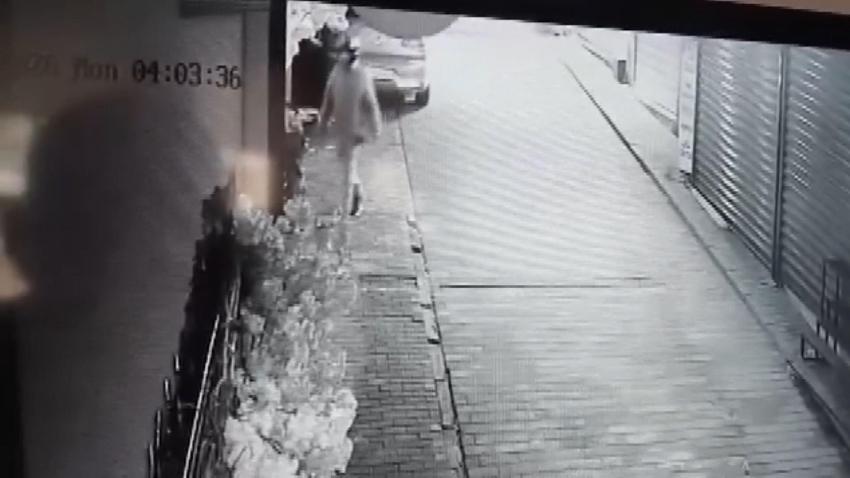 Bursa’da iş yerinin camını açamayan hırsız, kapıdaki değerli süs ağacını söktü; o anlar kamerada