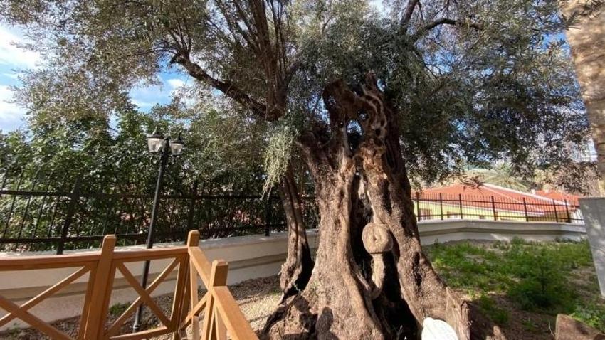 Antalya'da kazıda turistlerin gözü önünde çıkarıldı! Tarihi an herkesi şaşırttı