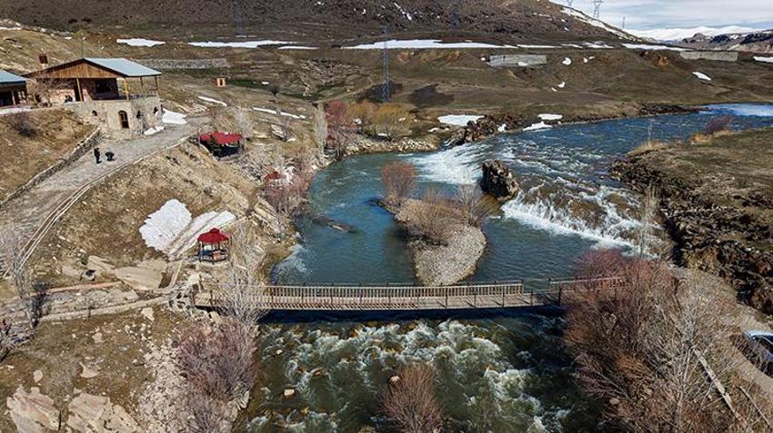 İnci kefalinin kaderi değişti! Bu yıl üreme rekoru bekleniyor: 15 Nisan'da başlıyor, 3 ay sürecek