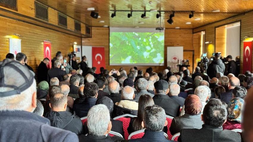 Safranbolu safranından sonra Yenice ıhlamur balı AB tarafından tescillendi