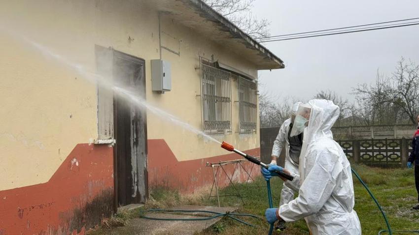 Samsun'da kabus kapıya dayandı! Köylüler şimdiden yasakladı: Hepsini öldürüyoruz