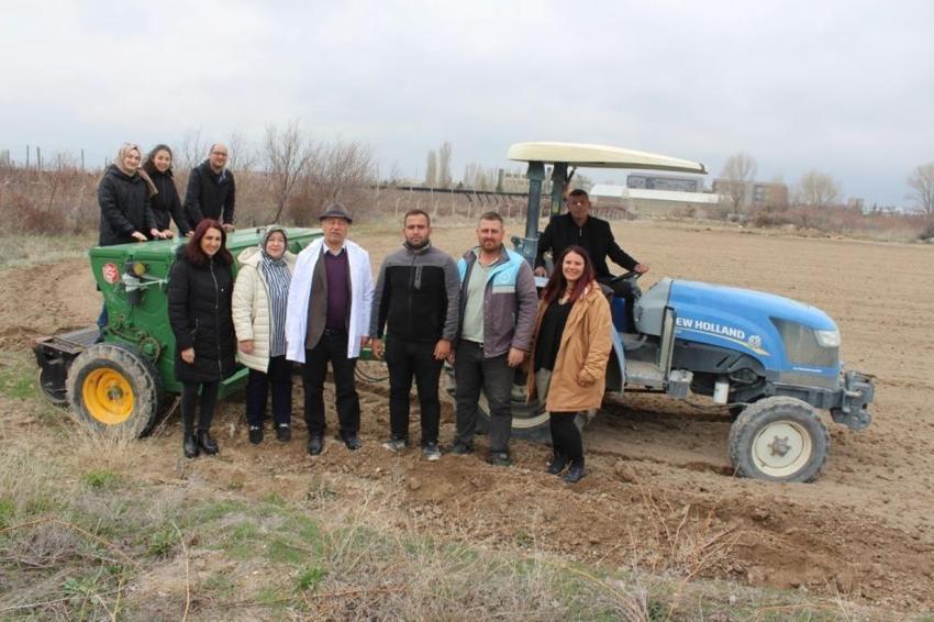 Niğde'de ekim başarıyla tamamlandı! Üreticiye yeni gelir kapısı açıldı