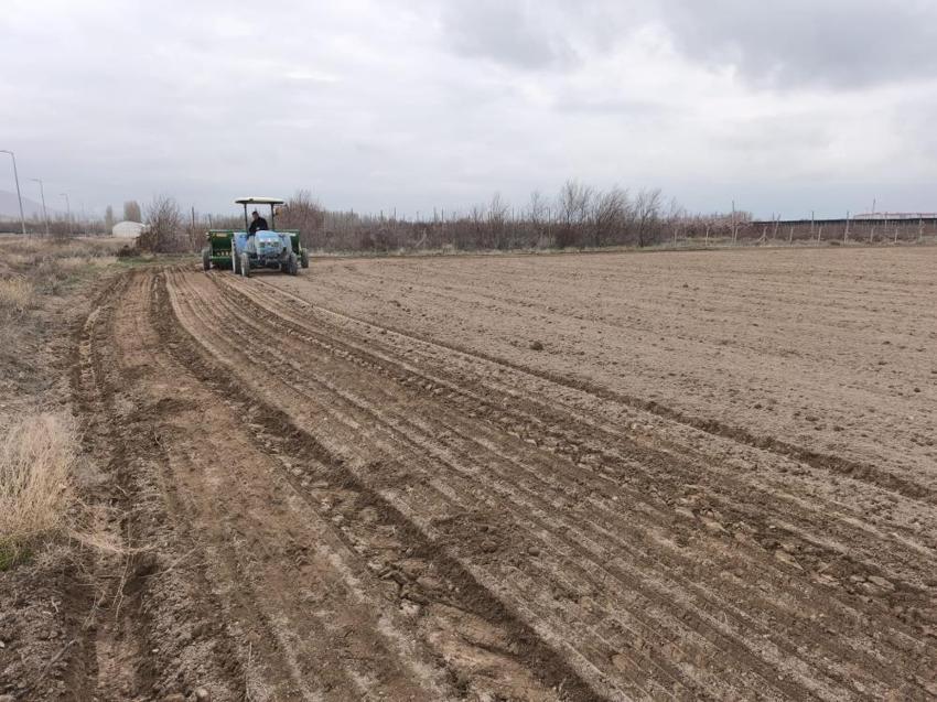 Niğde'de ekim başarıyla tamamlandı! Üreticiye yeni gelir kapısı açıldı