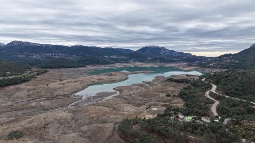 Aşırı yağışlar narenciyeyi vurdu: Baraj doldu ama bahçelerde mesai başladı