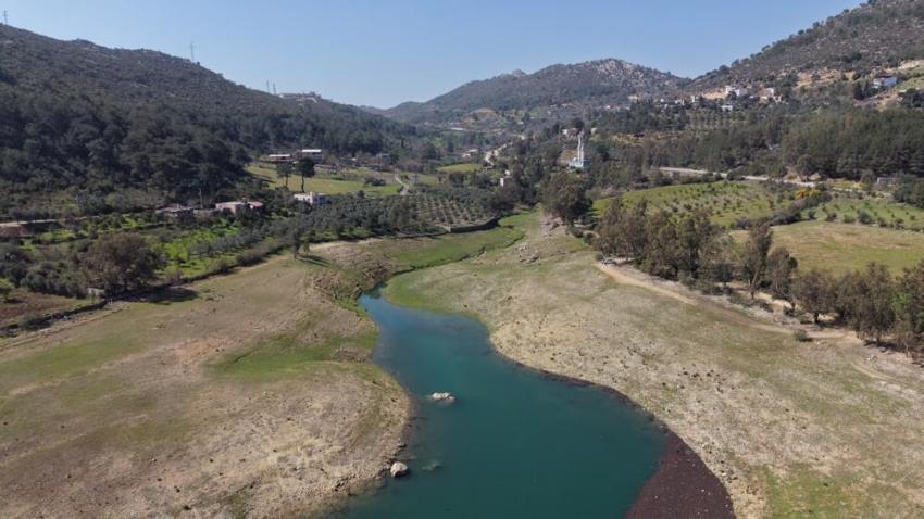 Aşırı yağışlar narenciyeyi vurdu: Baraj doldu ama bahçelerde mesai başladı